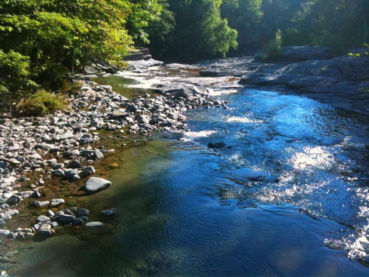 Play All Day - Sleep By The Stream At Night - Swimming Hole Palenville Eksteriør billede